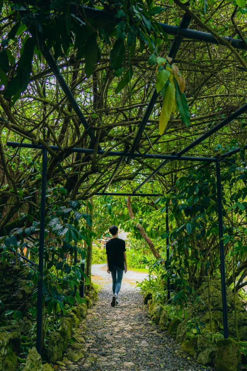 フィリピン留学 Cebu21 - Baguio JIC Premium campus-Garden - ETC-1
